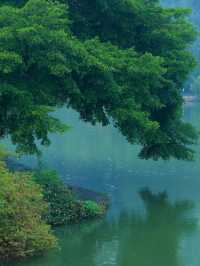 柳州寶藏公園——龍潭公園