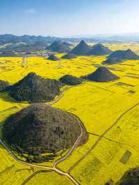 油菜花海拍照指南