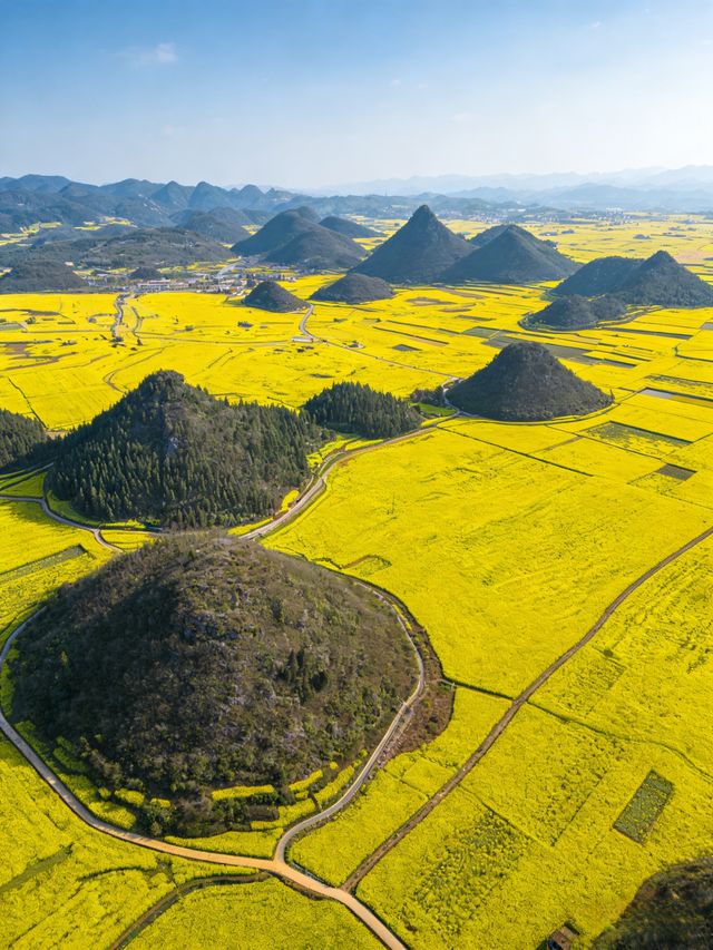 油菜花海拍照指南 油菜花海拍照指南