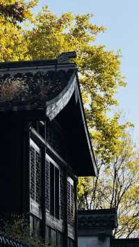 古典美學老門東南京文藝范古街區打卡指南