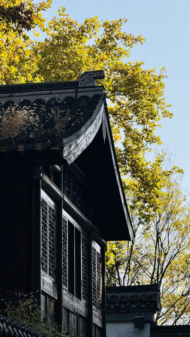 古典美學老門東南京文藝范古街區打卡指南 古典美學老門東南京文藝范古街區打卡指南