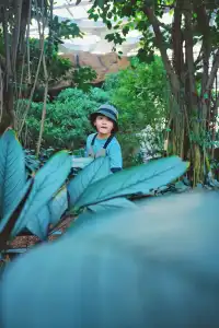 闖入綠野仙蹤,快來當森系主角