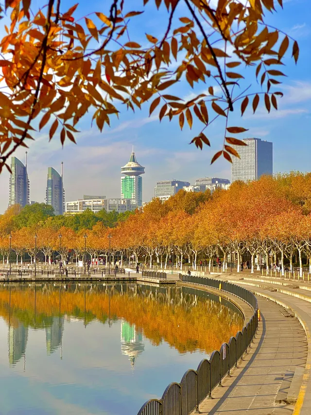 11.30號實拍 | 世紀公園梧桐大道拍照攻略