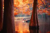 連夜來到南京只為拍到這幾張