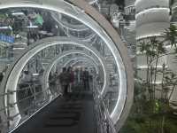 魔都打卡日記世博溫室花園+3號倉庫美食探店