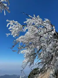 去了郴州3次,莽山看雪就應該這麼玩!!