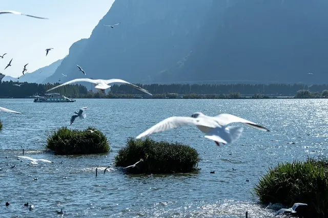 如果冬天只想去一個城市,那就是昆明 如果冬天只想去一個城市,那就是昆明