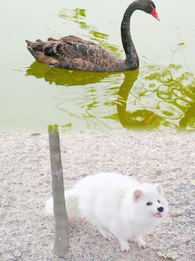 佛山霍比特小屋打卡攻略童話世界等你來探索! 佛山霍比特小屋打卡攻略童話世界等你來探索!