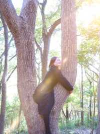 上海|秋冬這裡簡直太美了吧!