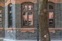 這個校園很美，而且沒有圍牆