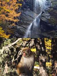 10.28實拍live~稻城亞丁秋色爆表!美到窒息