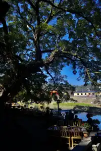 來漳州南靖看土樓真的不建議報團……