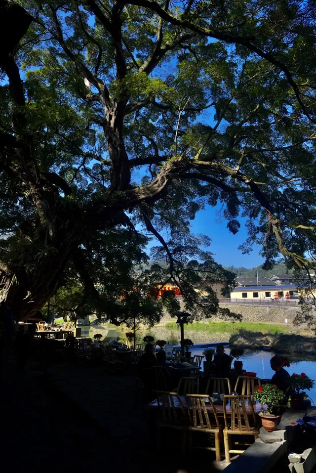 來漳州南靖看土樓真的不建議報團……