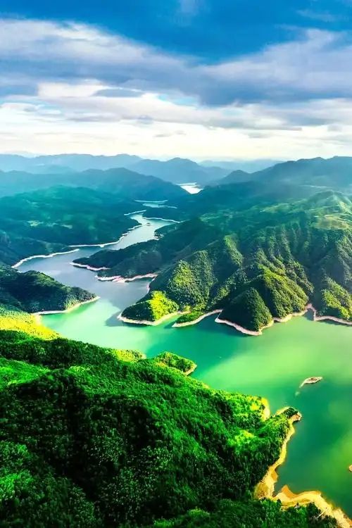 這片綠色值得奔赴