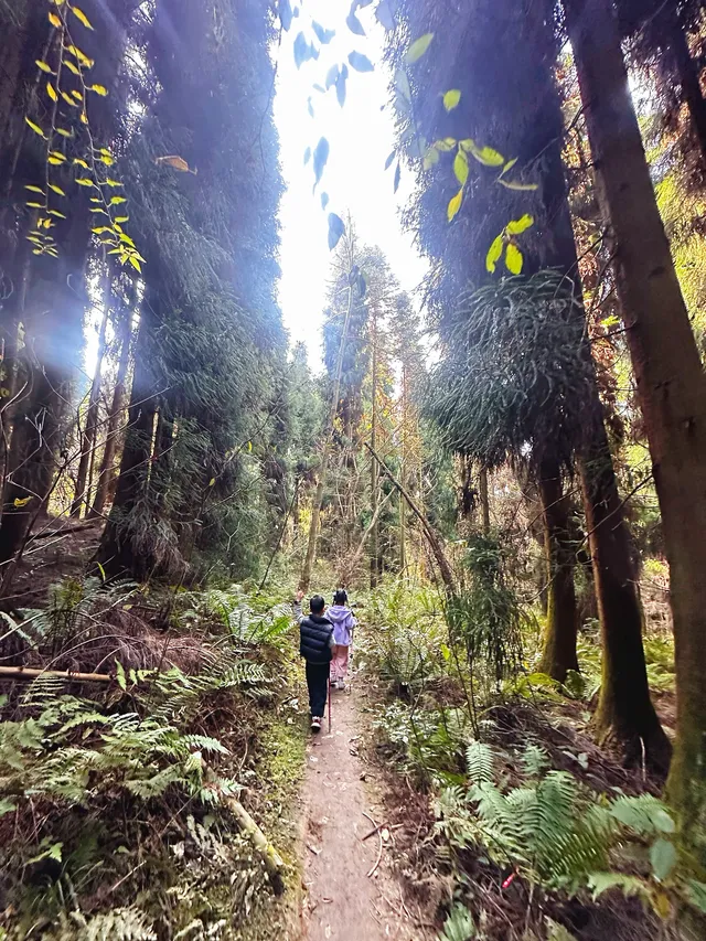 成都霧霾天的救命徒步!蒲虹路6公里,拿捏! 成都霧霾天的救命徒步!蒲虹路6公里,拿捏!