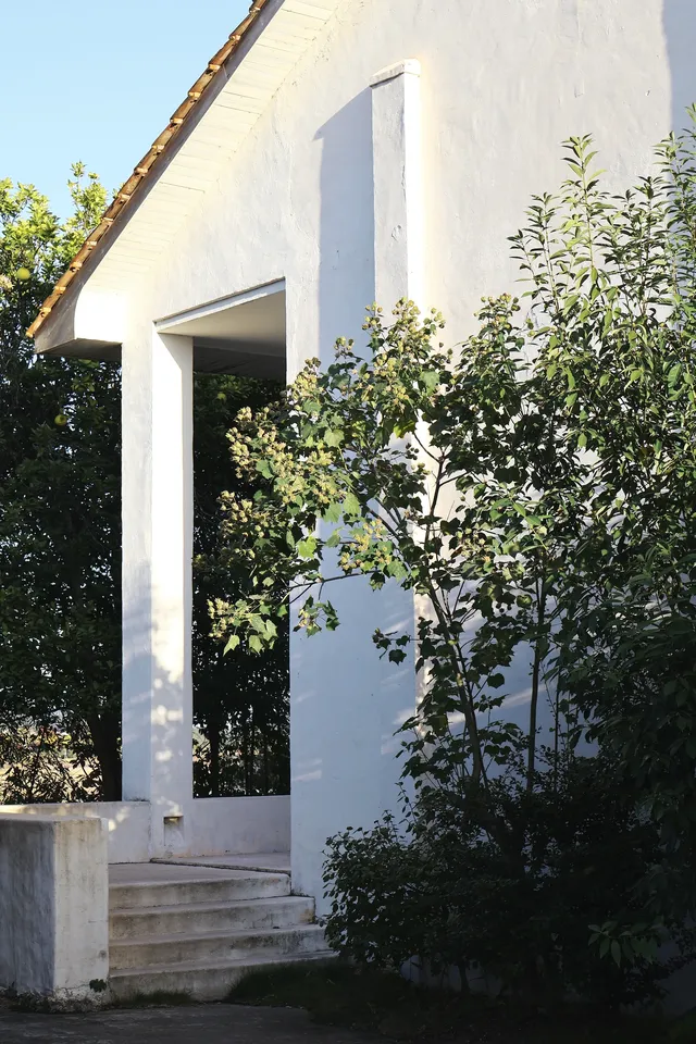 環境滿分的千島湖民宿 環境滿分的千島湖民宿