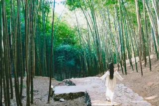 Escape from the Magic City to Yixing Bamboo Sea Sky Mirror