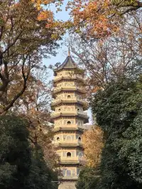 愛上金陵的秋(五)