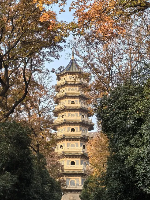 愛上金陵的秋(五) 愛上金陵的秋(五)