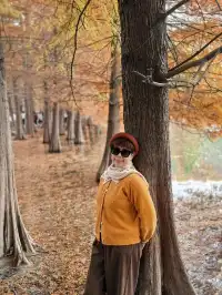 南京鐘山風景區漫遊