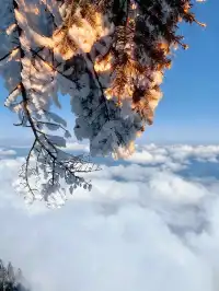 不去川西也能玩雪!部分無門票!
