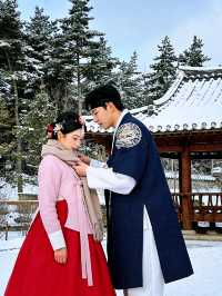 誰懂啊!冬天去哈爾濱真的美到失語