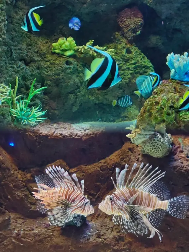 Beijing Nostalgic Aquarium｜Fuguo Underwater World Time Travel