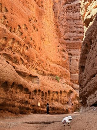 張掖には七彩丹霞だけではありません