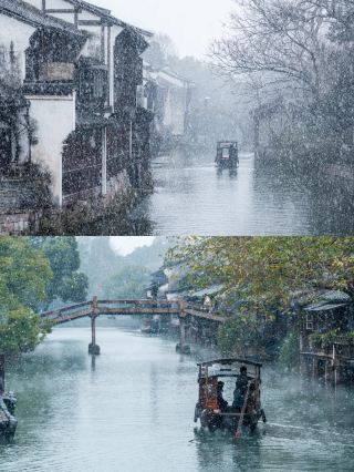 烏村の初雪が緊急事態！江南の冬が本気で凍りついた！