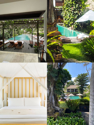 Ubud's Hidden Gems | Bali's Exclusive Healing Choice