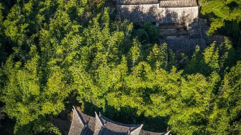 Những viên ngọc ẩn giấu ở Hồng Hà: Khám phá Đình Trường Xuân, một công trình kiến trúc thời Cộng hòa có niên đại từ năm 1926. — traveler post in Thạch Bình