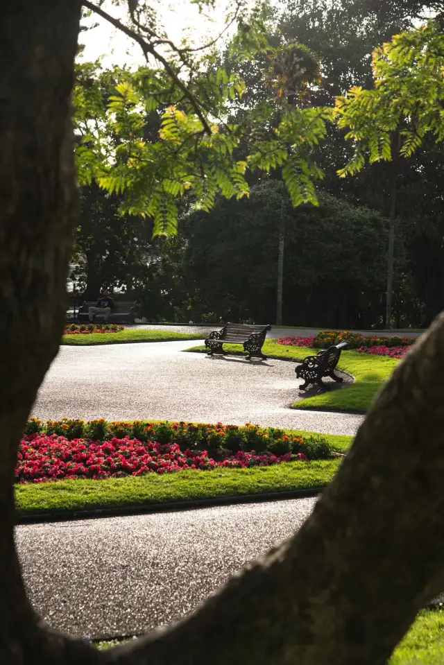 In downtown Auckland, step into an English-style garden