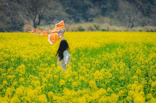 Spring break in Shitai, enjoy the spring sunshine