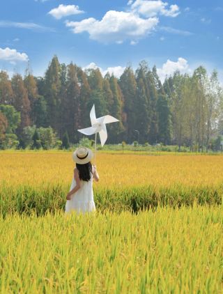 It's not Xizhou in Dali, but somewhere near Wuhan! Absolutely gorgeous!