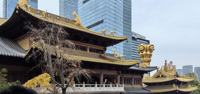 上海靜安寺完整攻略|Trip.com 上海