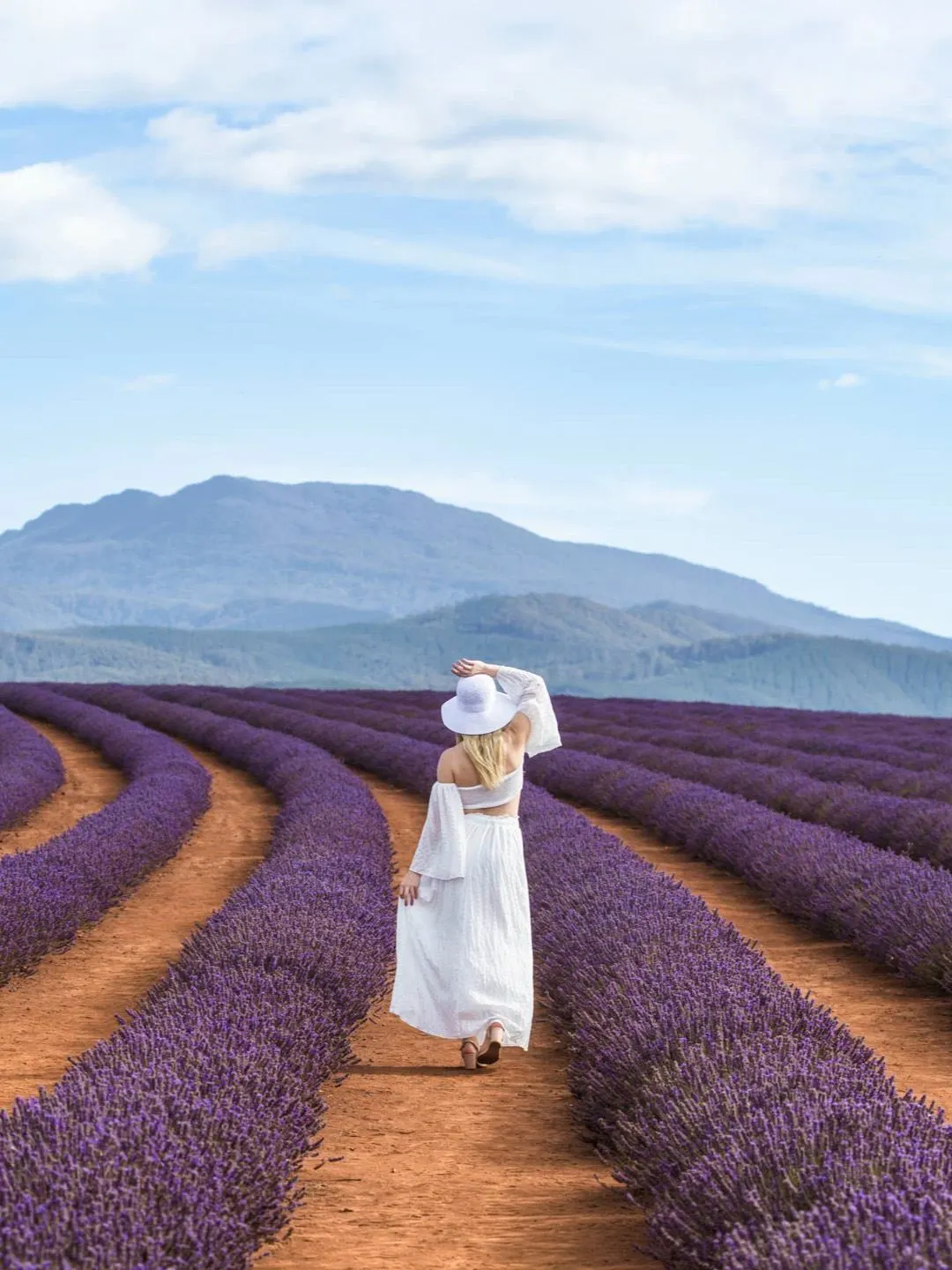 Plan a Tasmania private car tour! Customized routes for a relaxed and free trip