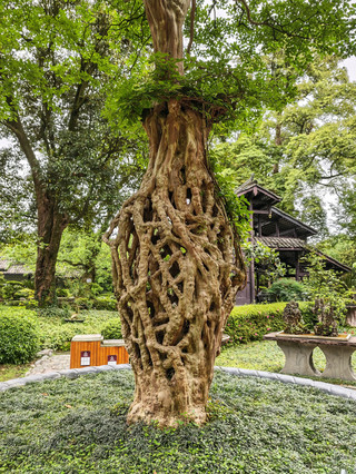 Summer trip from Chengdu to Deyang in 2 days This guide is a great deal