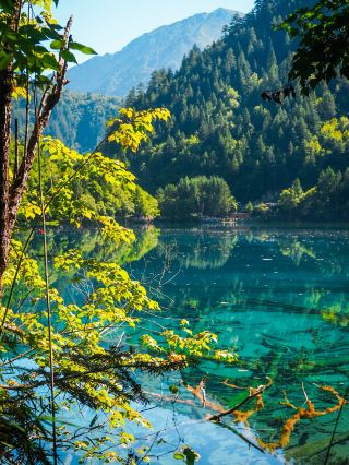 A Fairy Tale Come to Life: My Honest Review of Jiuzhaigou