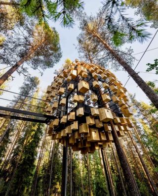ツリーホテル🌳 木のてっぺんと鏡のキューブで眠るホテル⬜️