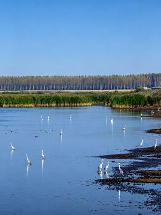 望奎森林濕地18℃曠野，兩天逃離人間燥熱
