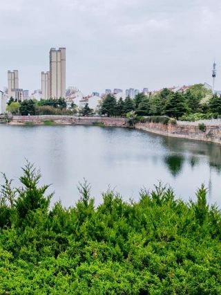 Bixia Lake Tourist Area | Leling 3A Water Conservancy Scenic Area, a guide to Bixia culture and lakeside leisure