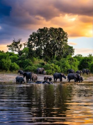 12-Day Ultimate Guide to Multi-Country Tours in Southern Africa