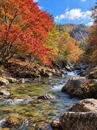 Benxi Laobiangou Red Leaf Season