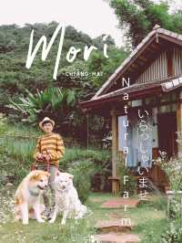 Mori Natural Farm โมริ เนเชอรัลฟาร์ม เชียงใหม่ 