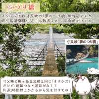 【静岡】梅ヶ島温泉郷　立ち寄りスポット5選