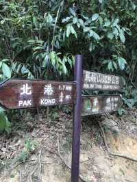 香港新手行山🍀茅坪藤皇+竹林隧道路線