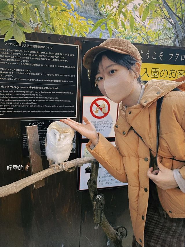 日本九州 | 由布院 可可愛愛的童話村♨️