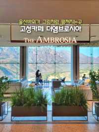 자연이 주는 최고의 행복! 카페 더 엠브로시아⛰️