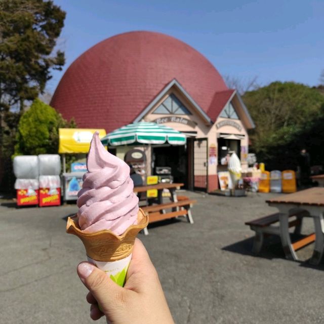 人生必到 野生動物餵食體驗