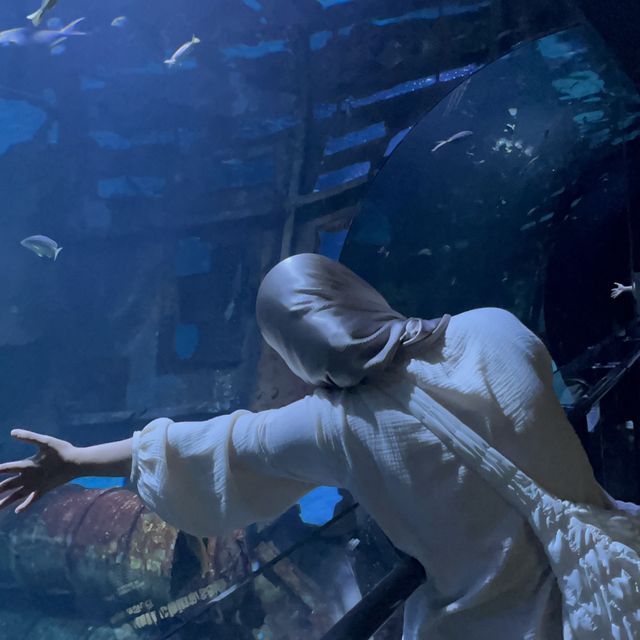 Aquarium Phuket 🐟🧜🏻‍♀️💦